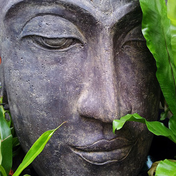 boeddha